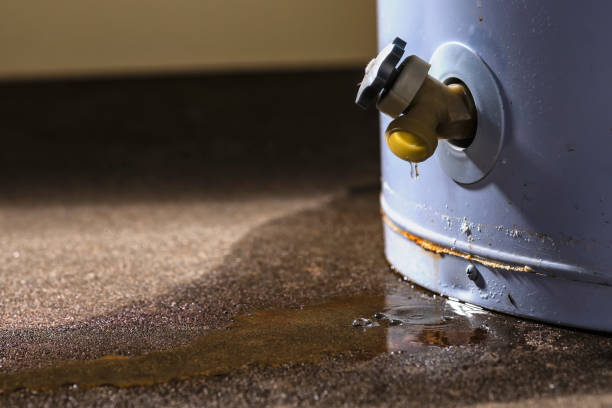 Best Professional water damage repair  in Westfield, WI