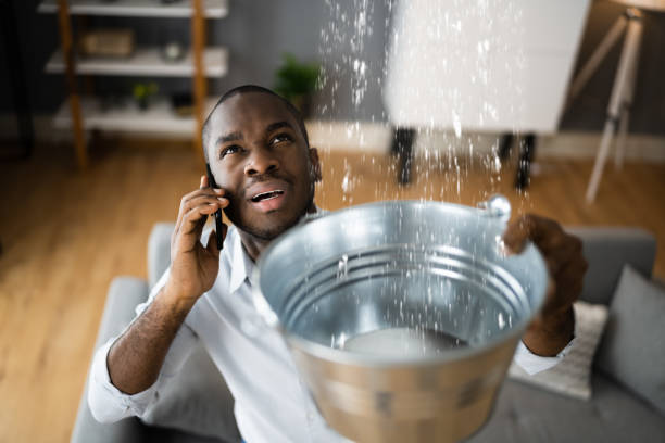 Best Residential water damage restoration  in Westfield, WI