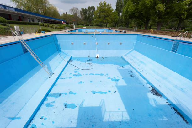 Best Flood restoration services  in Westfield, WI