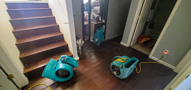 Best 24-hour water damage restoration  in Westfield, WI