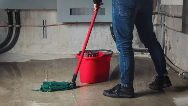 Best Water damage repair service  in Westfield, WI