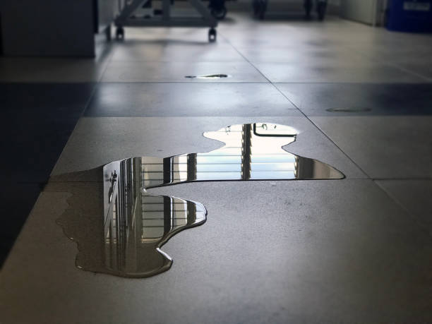Best Water damage restoration process  in Westfield, WI