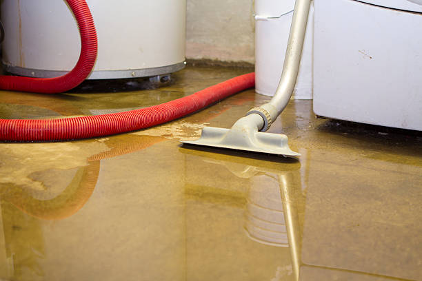 Best Flooded house restoration  in Westfield, WI