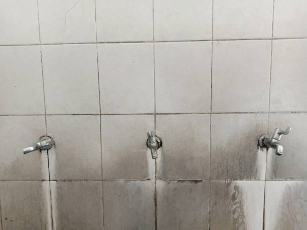 Best Mold removal after water damage  in Westfield, WI