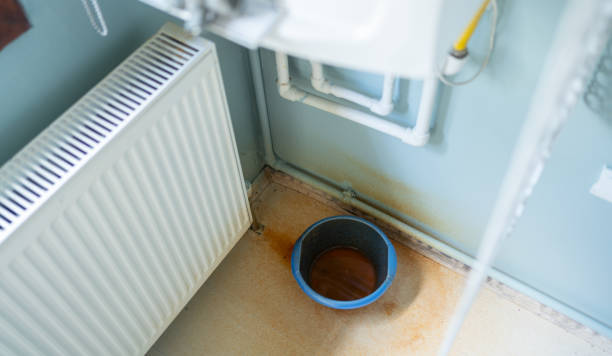 Best Local water damage restoration  in Westfield, WI