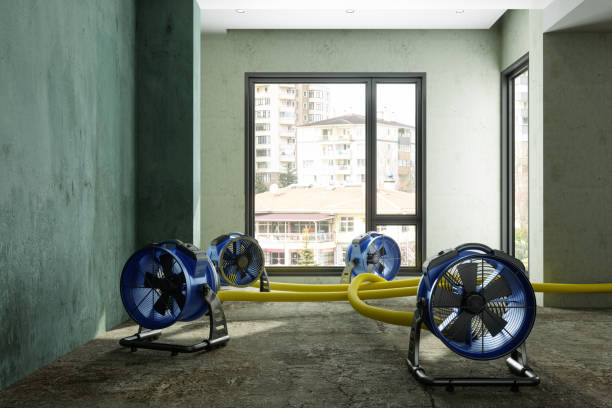 Best Professional water damage repair  in Westfield, WI