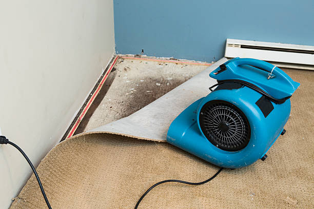 Best Carpet water damage restoration  in Westfield, WI